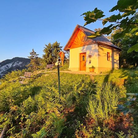 Ferien Am Sonnberg Appartement Unken Buitenkant foto