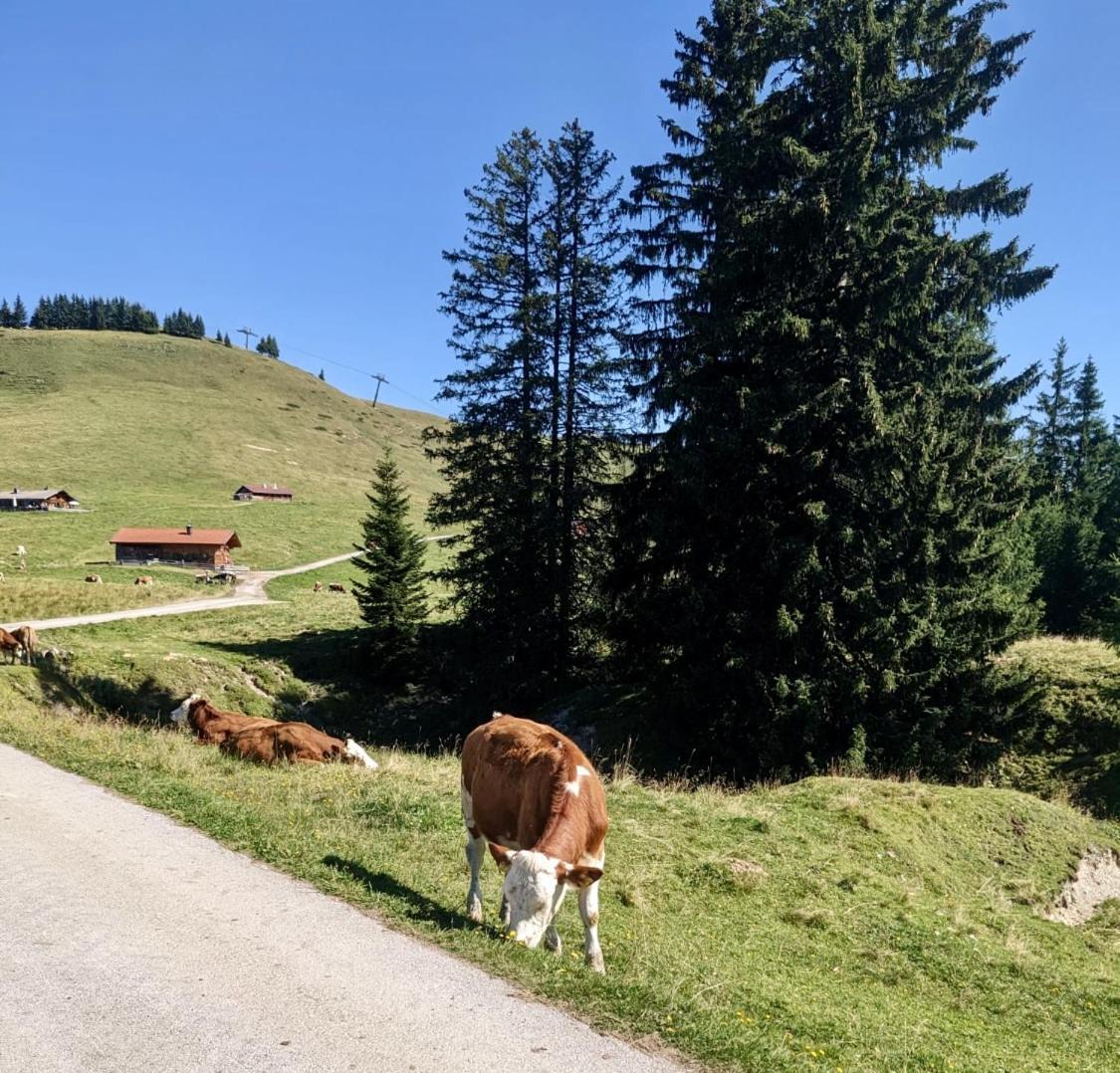 Ferien Am Sonnberg Appartement Unken Buitenkant foto