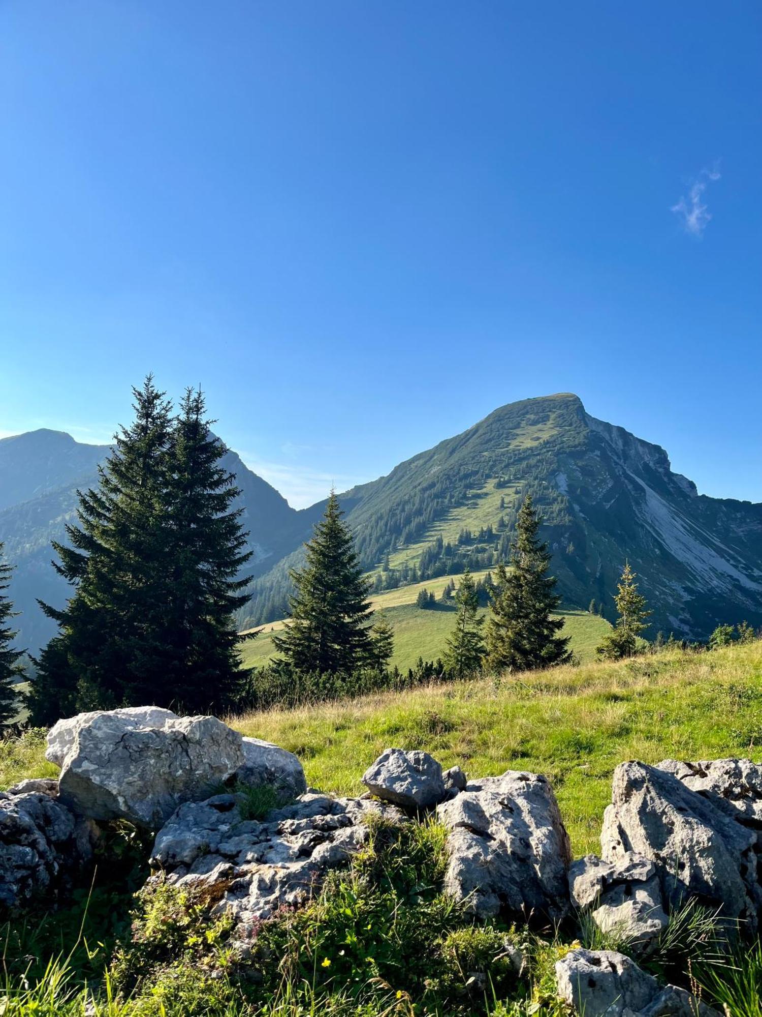 Ferien Am Sonnberg Appartement Unken Buitenkant foto